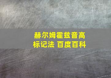 赫尔姆霍兹音高标记法 百度百科